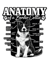 Anatomy of a Border Collie Hoodie