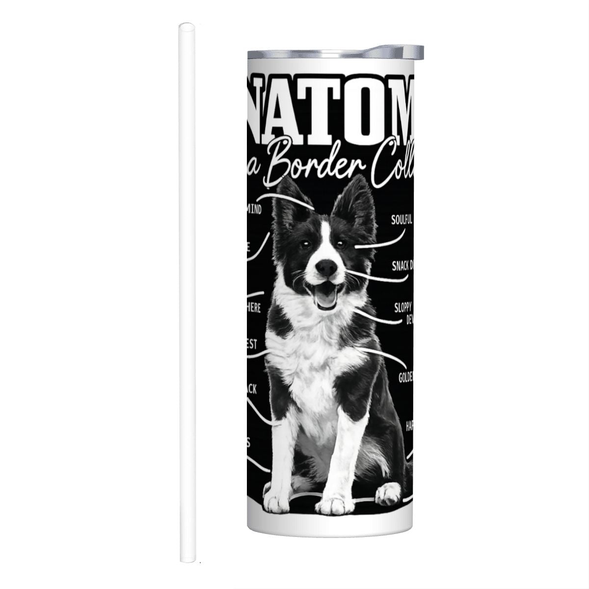 anatomy of a border collie 20oz