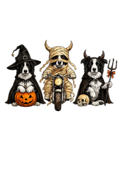 Halloween Border Collie Hoodie