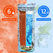 Chaos in the Barnyard - 20oz stainless steel tumbler