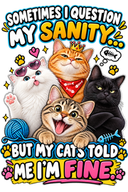 Sometimes I Question My Sanity… Hoodie