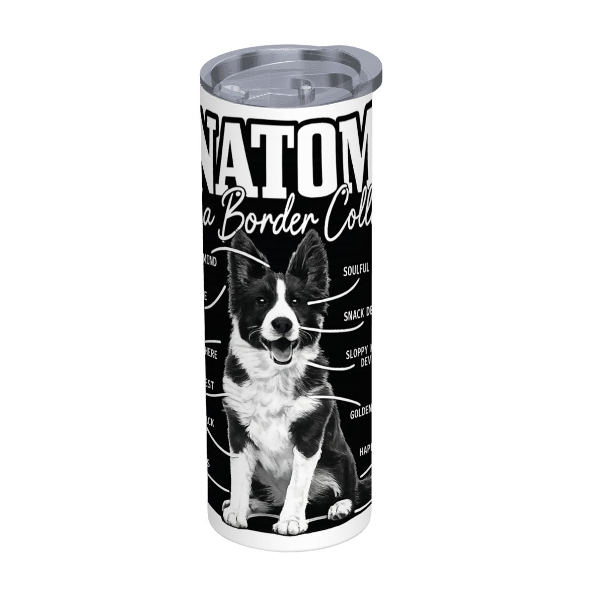 anatomy of a border collie 20oz