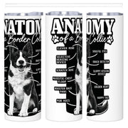 anatomy of a border collie 20oz
