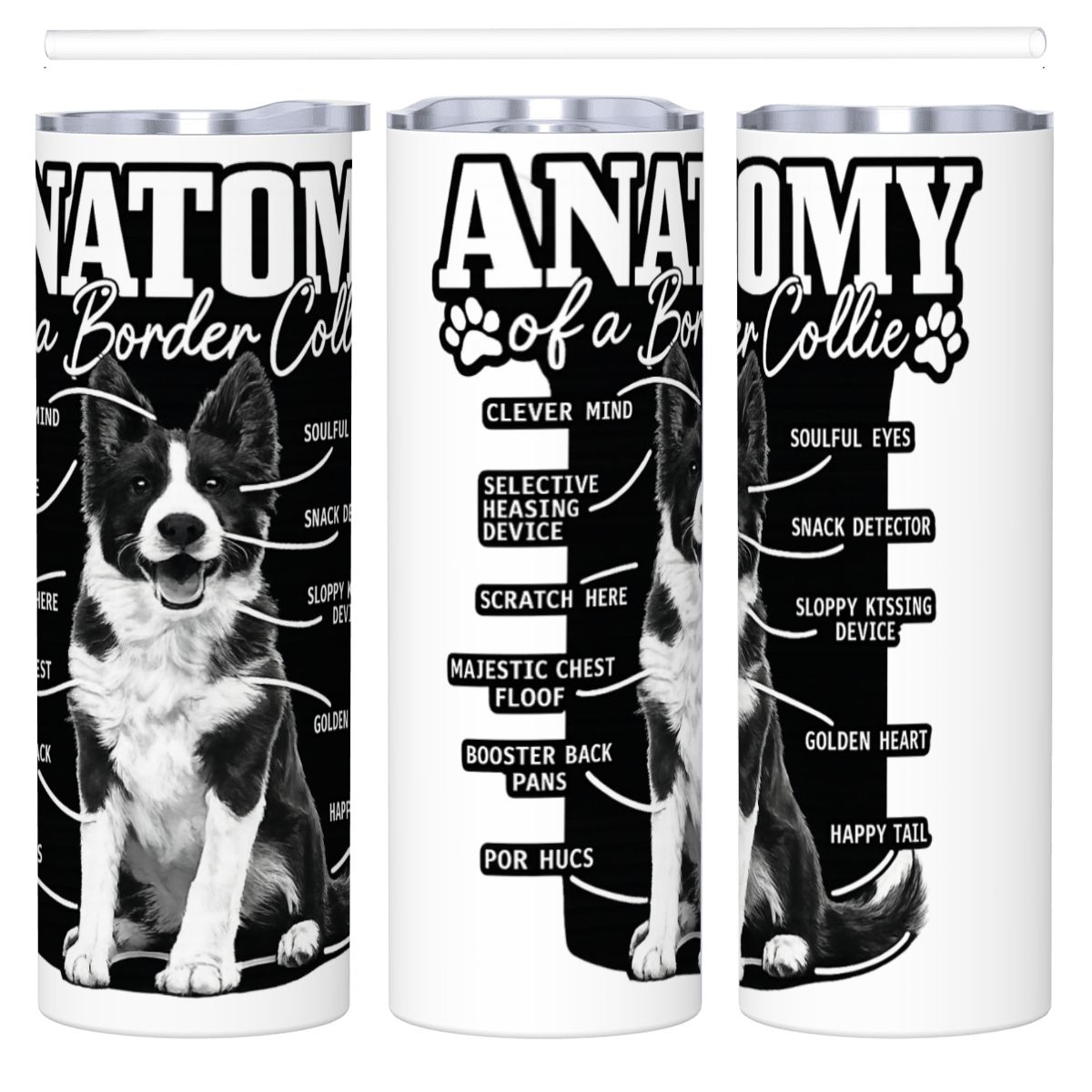 anatomy of a border collie 20oz