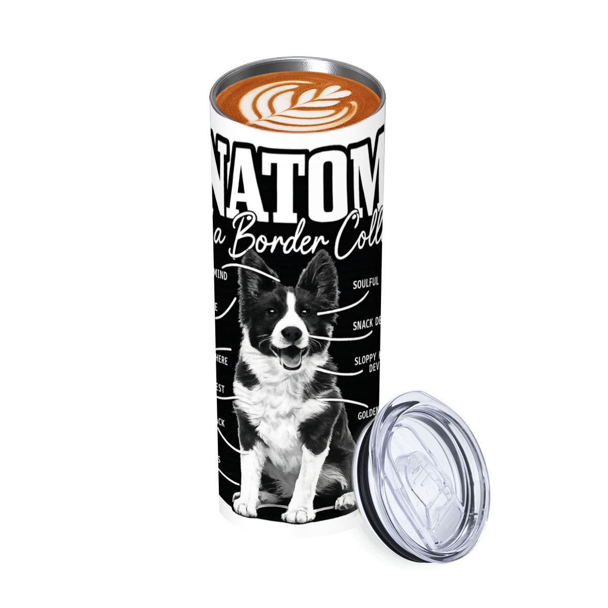anatomy of a border collie 20oz