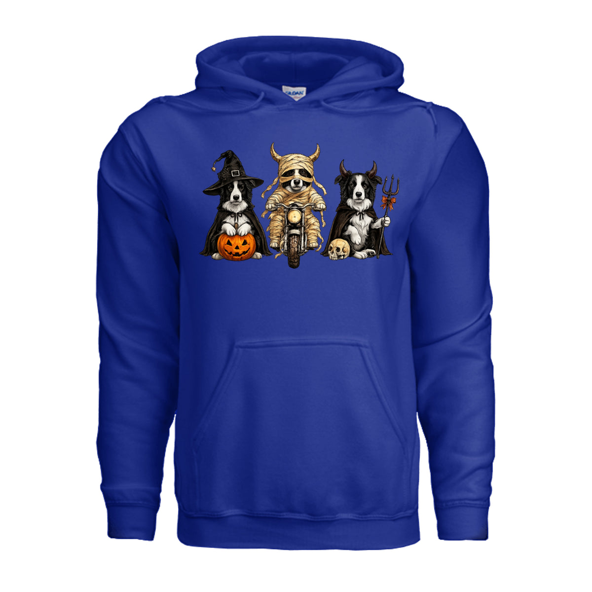 Halloween Border Collie hoodie in royal blue